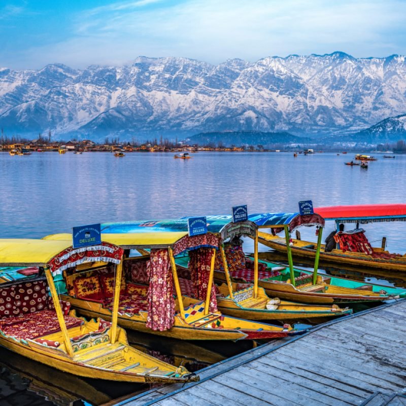 dal-lake-kashmir-in-winter