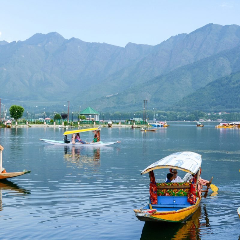 kashmir